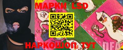 стаф Кимры
