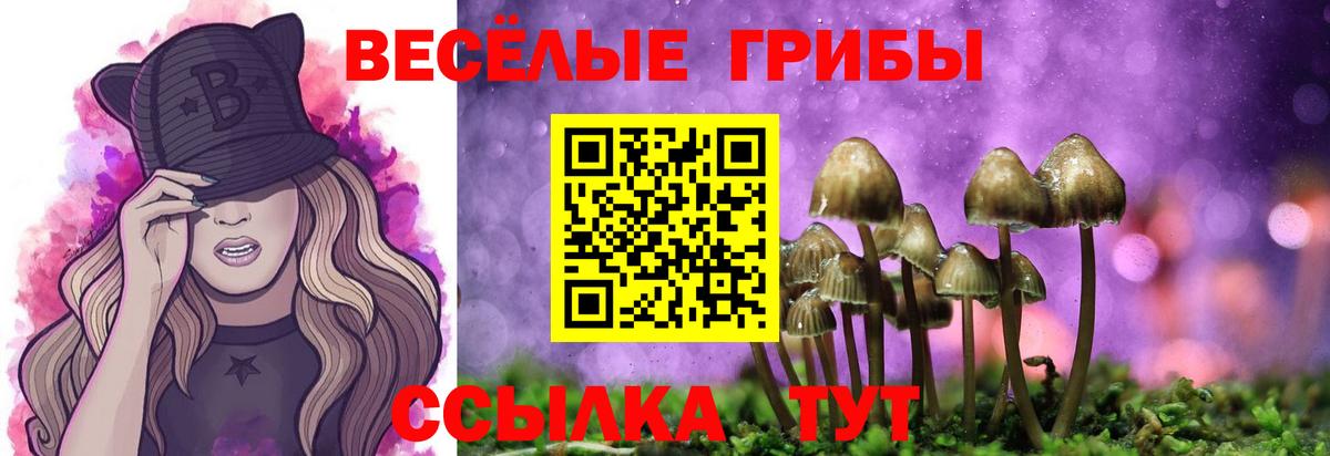 Галлюциногенные грибы мухоморы  Псилоцибиновые грибы MAGIC MUSHROOMS  где купить наркотик  Клин  Вход с VPN 