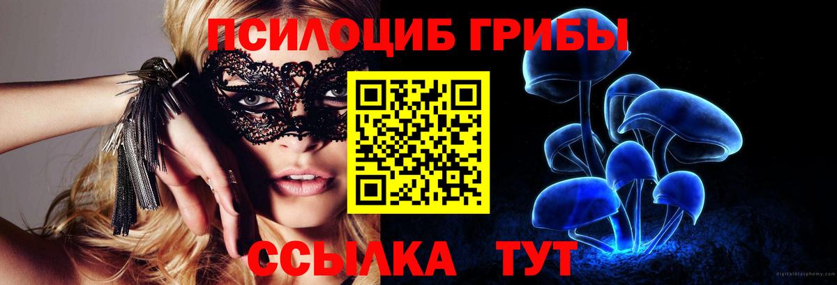 Псилоцибиновые грибы Psilocybine cubensis Клин