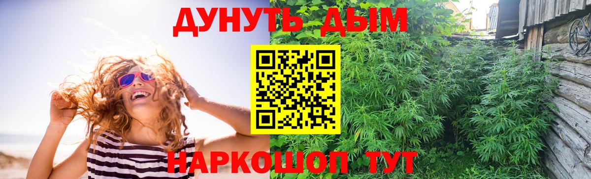 Бошки марихуана конопля  Бошки марихуана OG Kush  Клин  Бошки Шишки план  Вход с VPN 